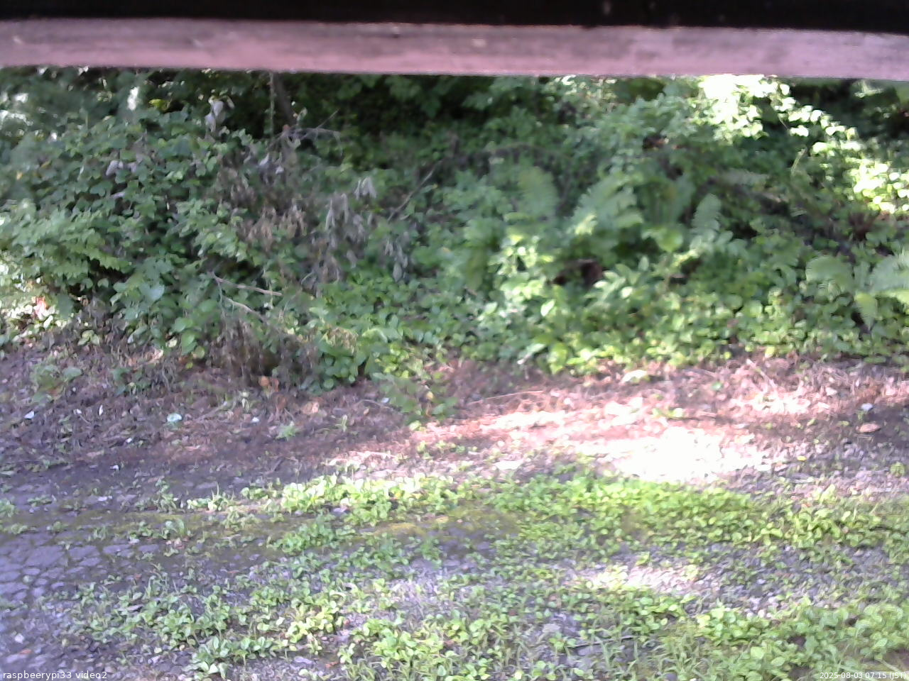 長野県菅平高原 ゆたか山荘 南側 2025/08/03 07:15