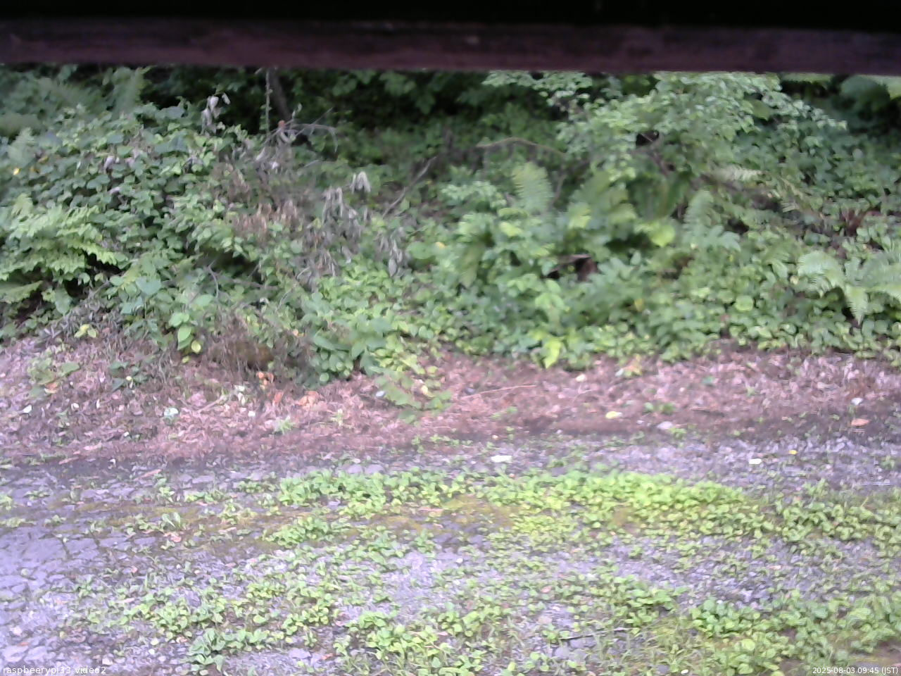 長野県菅平高原 ゆたか山荘 南側 2025/08/03 09:45