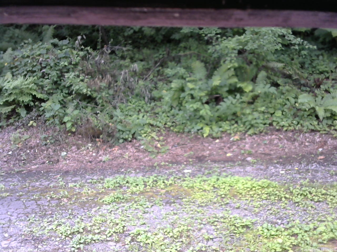 長野県菅平高原 ゆたか山荘 南側 2025/08/03 10:15