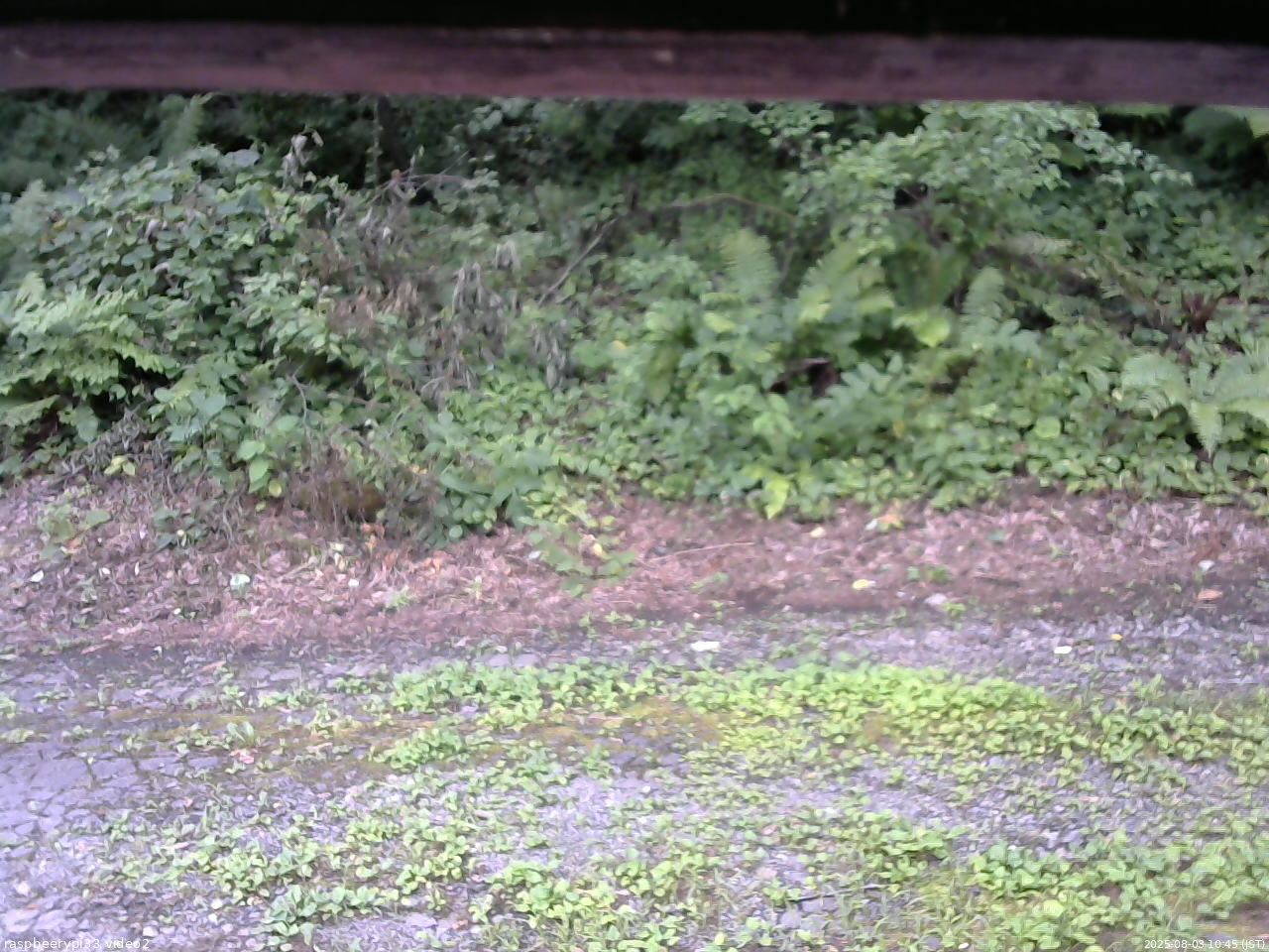 長野県菅平高原 ゆたか山荘 南側 2025/08/03 10:45
