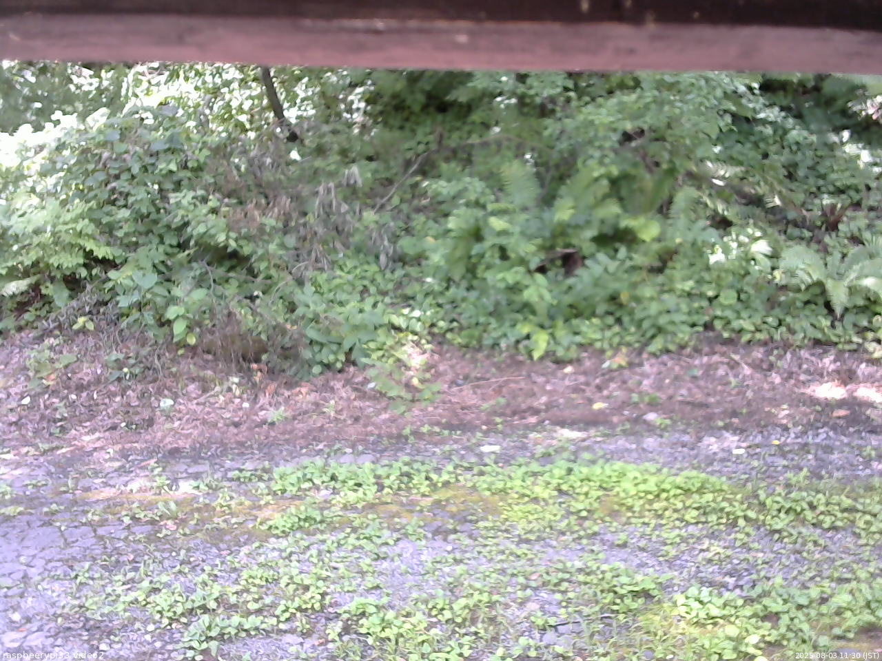 長野県菅平高原 ゆたか山荘 南側 2025/08/03 11:30