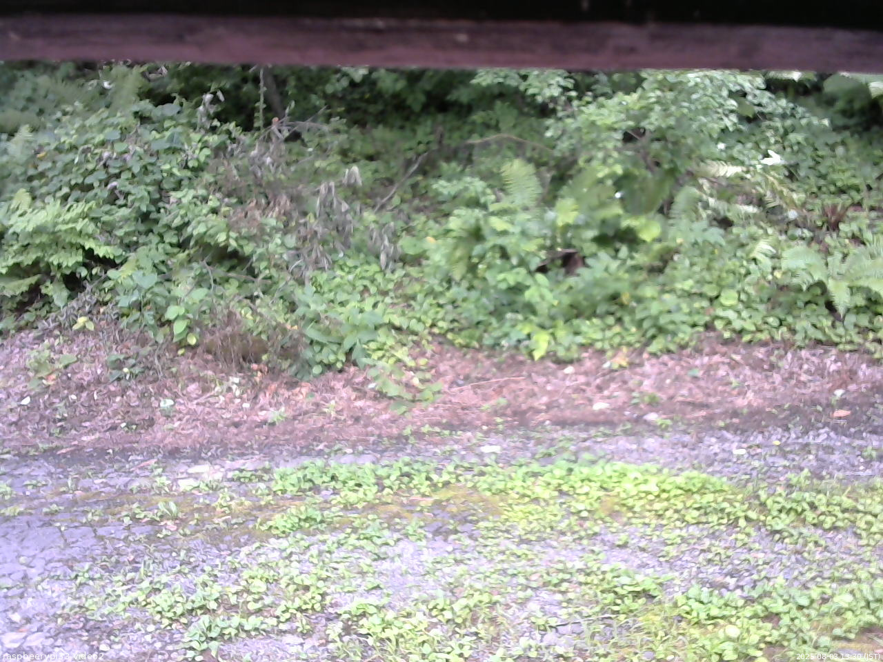 長野県菅平高原 ゆたか山荘 南側 2025/08/03 13:30