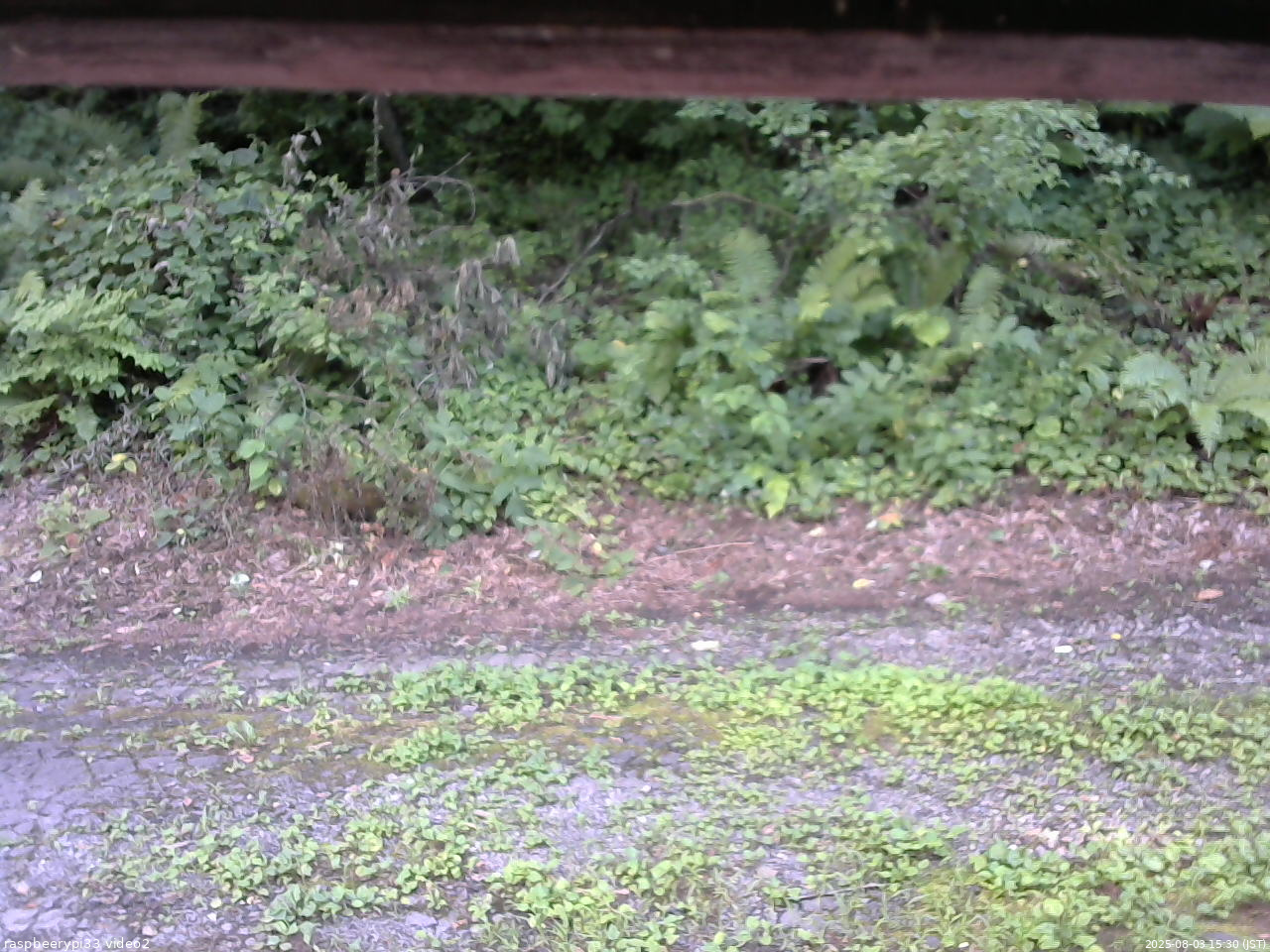 長野県菅平高原 ゆたか山荘 南側 2025/08/03 15:30