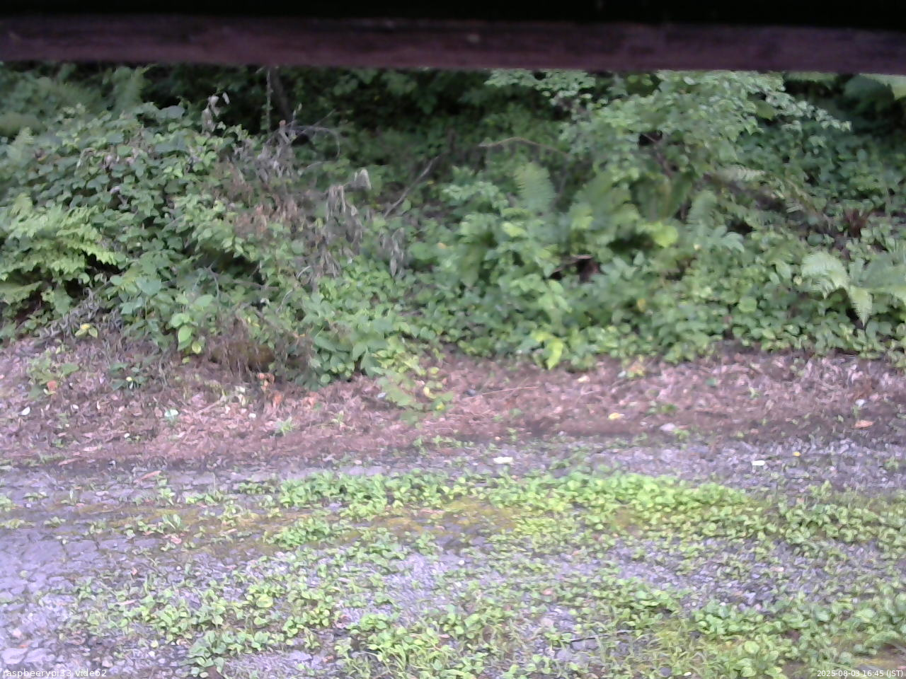 長野県菅平高原 ゆたか山荘 南側 2025/08/03 16:45