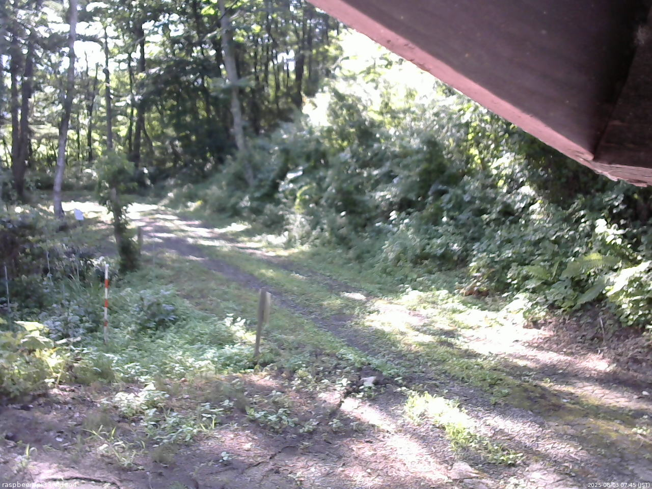 長野県菅平高原 ゆたか山荘 東側(坂下) 2025/08/03 07:45