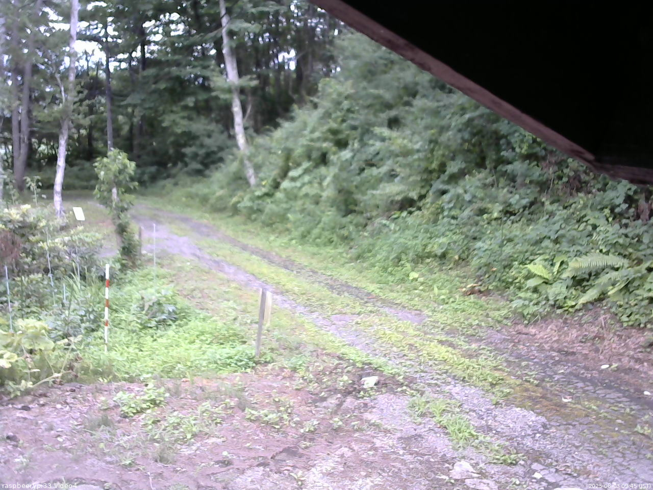 長野県菅平高原 ゆたか山荘 東側(坂下) 2025/08/03 09:45