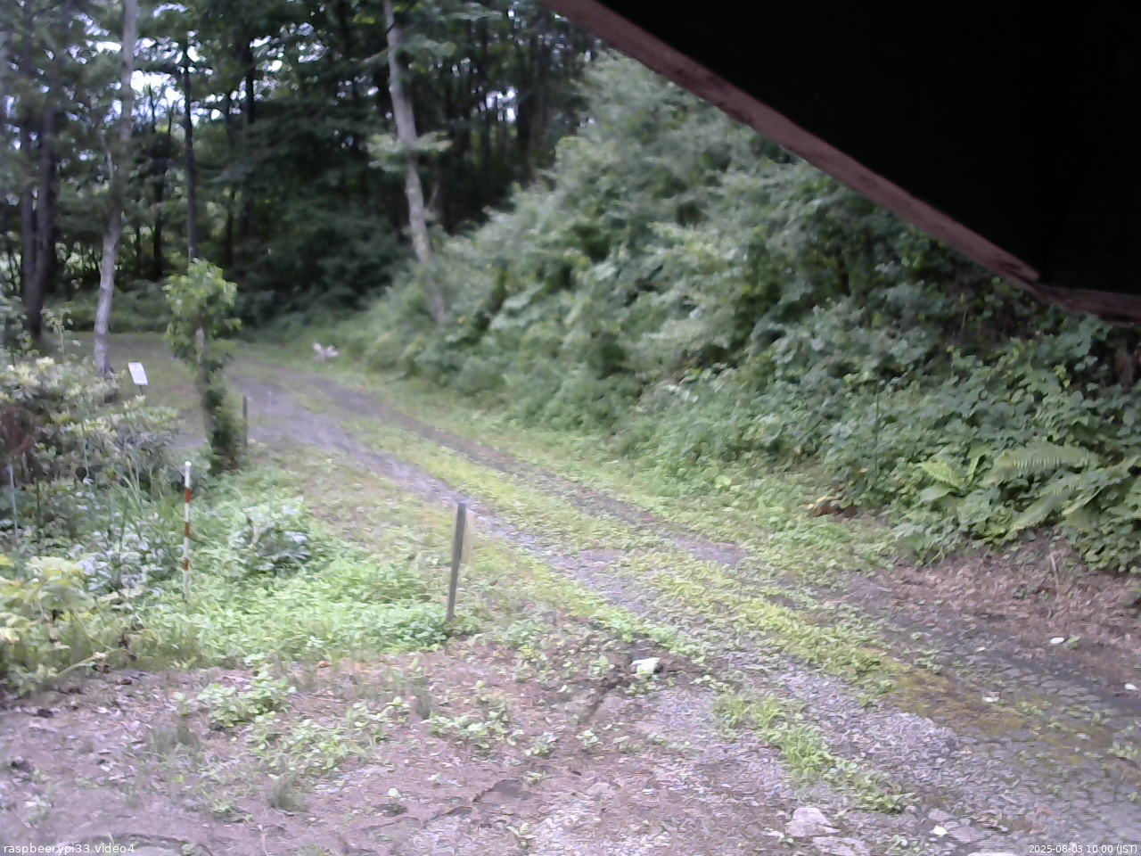 長野県菅平高原 ゆたか山荘 東側(坂下) 2025/08/03 10:00