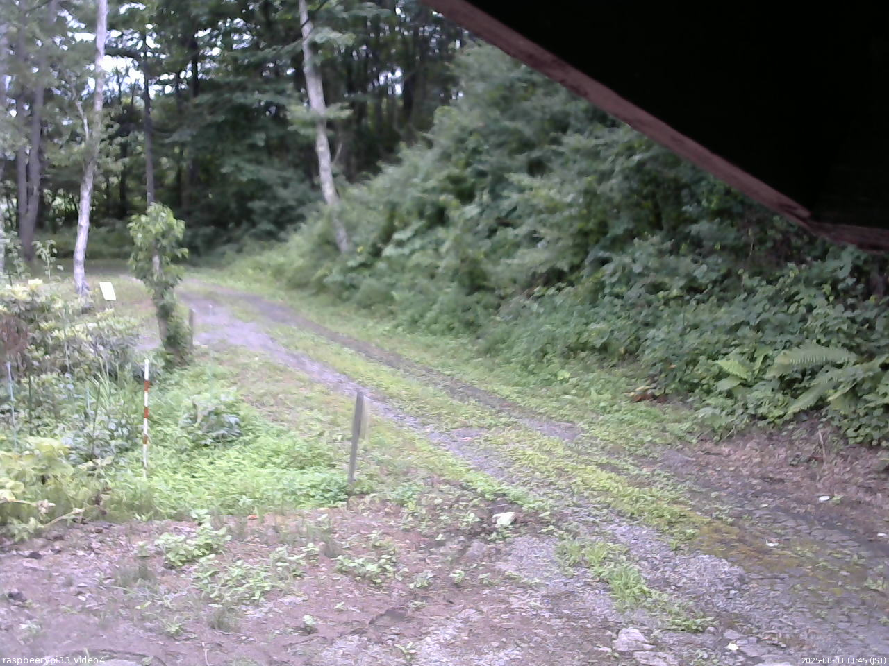 長野県菅平高原 ゆたか山荘 東側(坂下) 2025/08/03 11:45