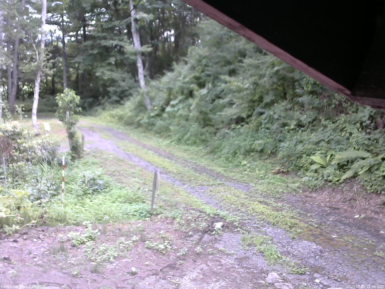長野県菅平高原 ゆたか山荘 東側(坂下) 2025/08/03 12:30