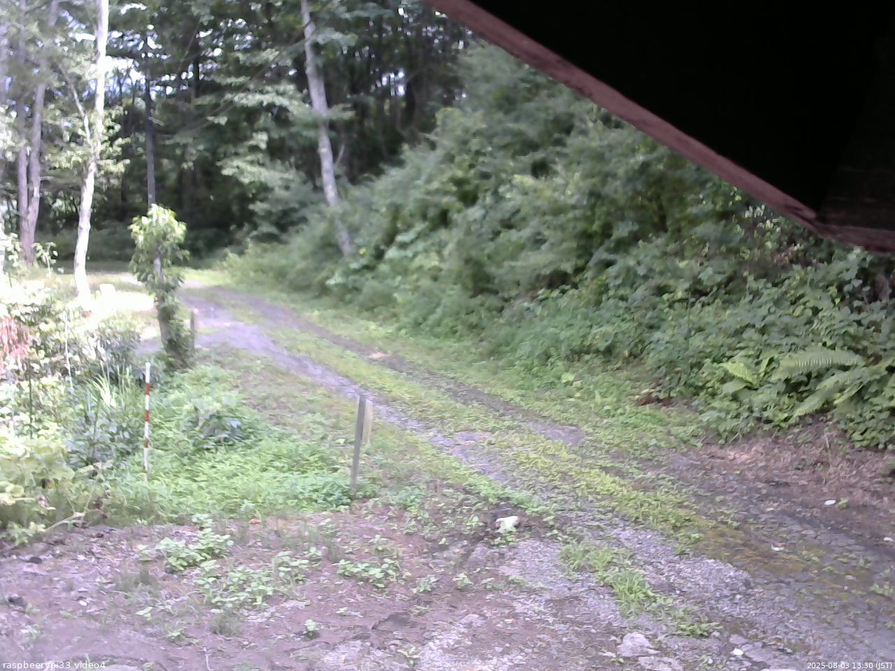 長野県菅平高原 ゆたか山荘 東側(坂下) 2025/08/03 13:30