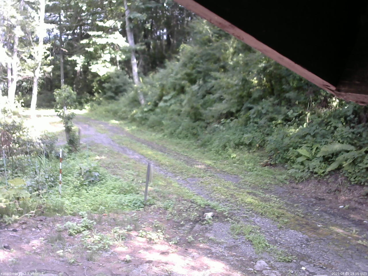 長野県菅平高原 ゆたか山荘 東側(坂下) 2025/08/03 14:15