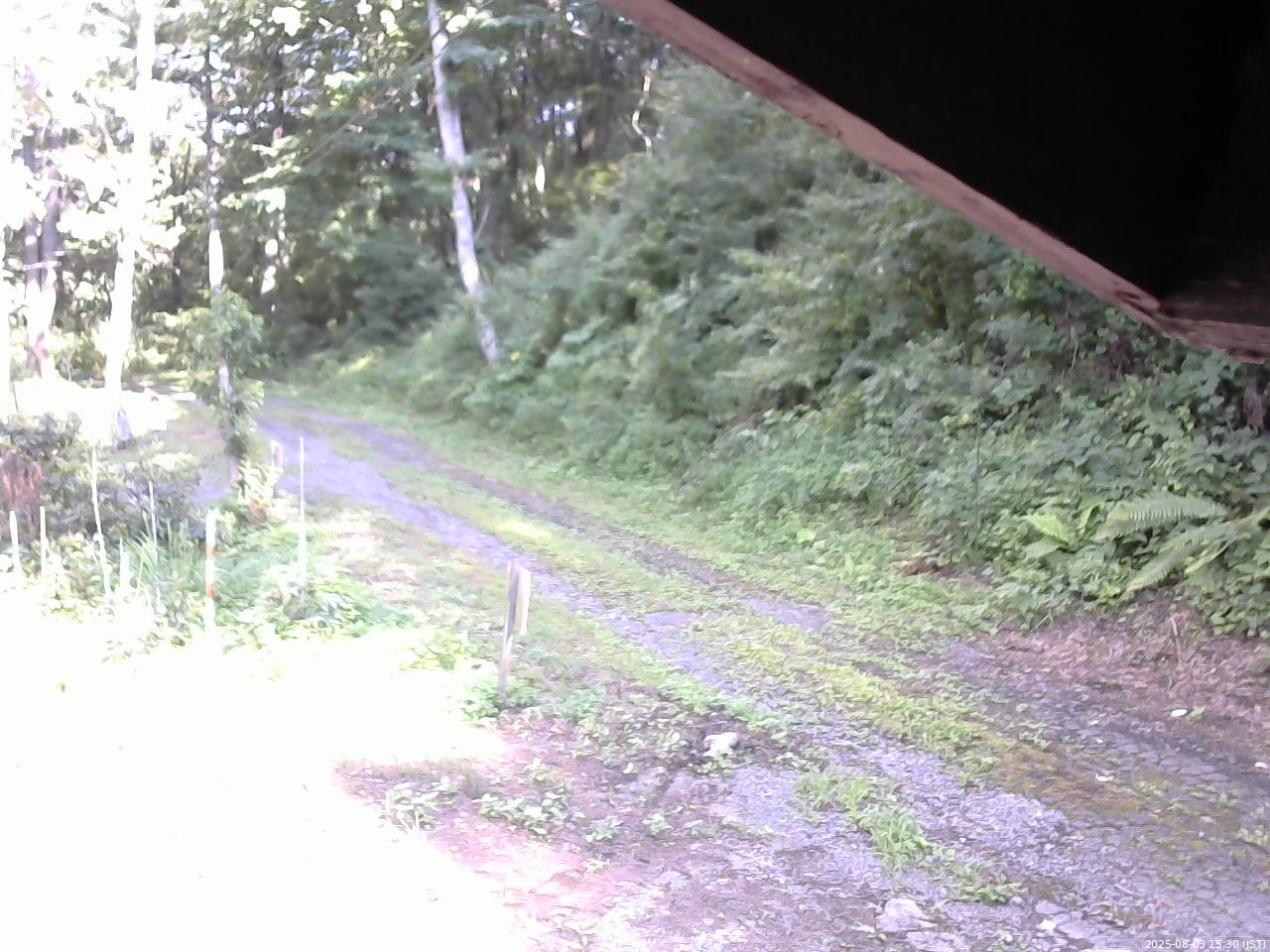 長野県菅平高原 ゆたか山荘 東側(坂下) 2025/08/03 15:30