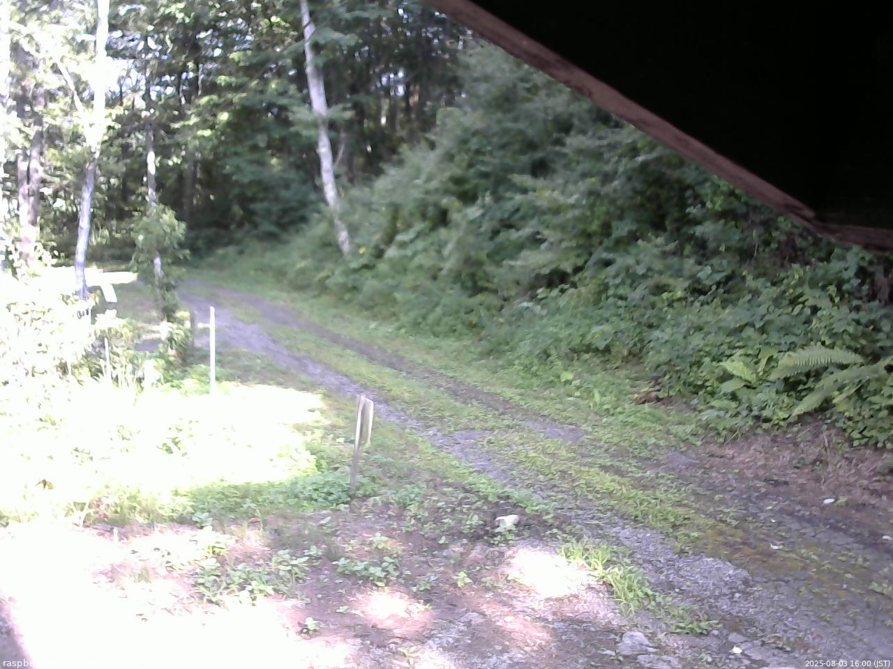 長野県菅平高原 ゆたか山荘 東側(坂下) 2025/08/03 16:00