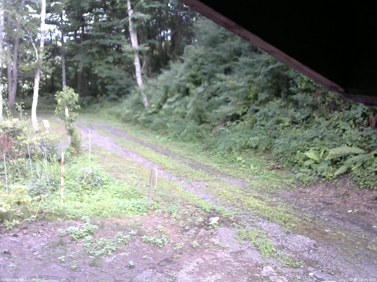 長野県菅平高原 ゆたか山荘 東側(坂下) 2025/08/03 16:45
