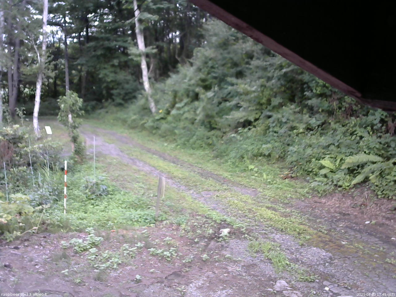長野県菅平高原 ゆたか山荘 東側(坂下) 2025/08/03 17:45
