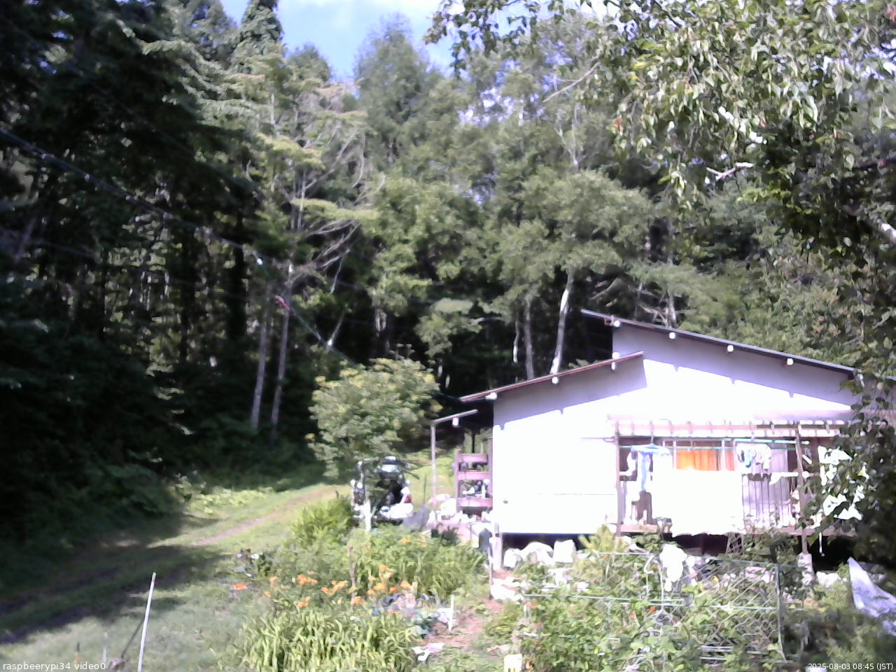 長野県菅平高原 ゆたか山荘 西側(坂上) 2025/08/03 08:45