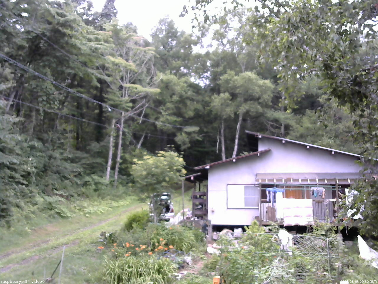長野県菅平高原 ゆたか山荘 西側(坂上) 2025/08/03 09:30