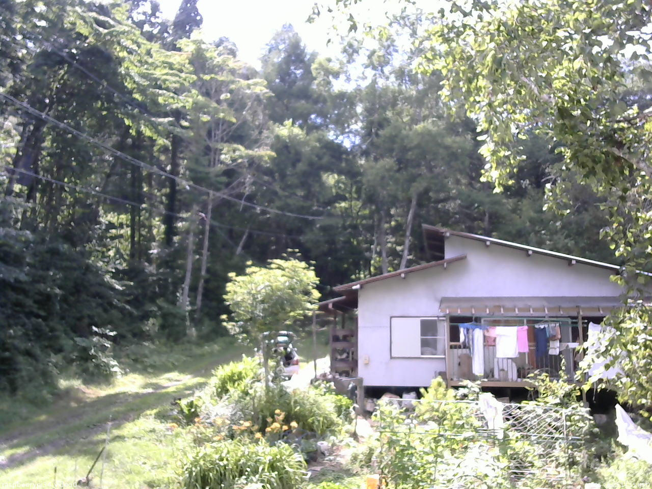長野県菅平高原 ゆたか山荘 西側(坂上) 2025/08/03 14:15