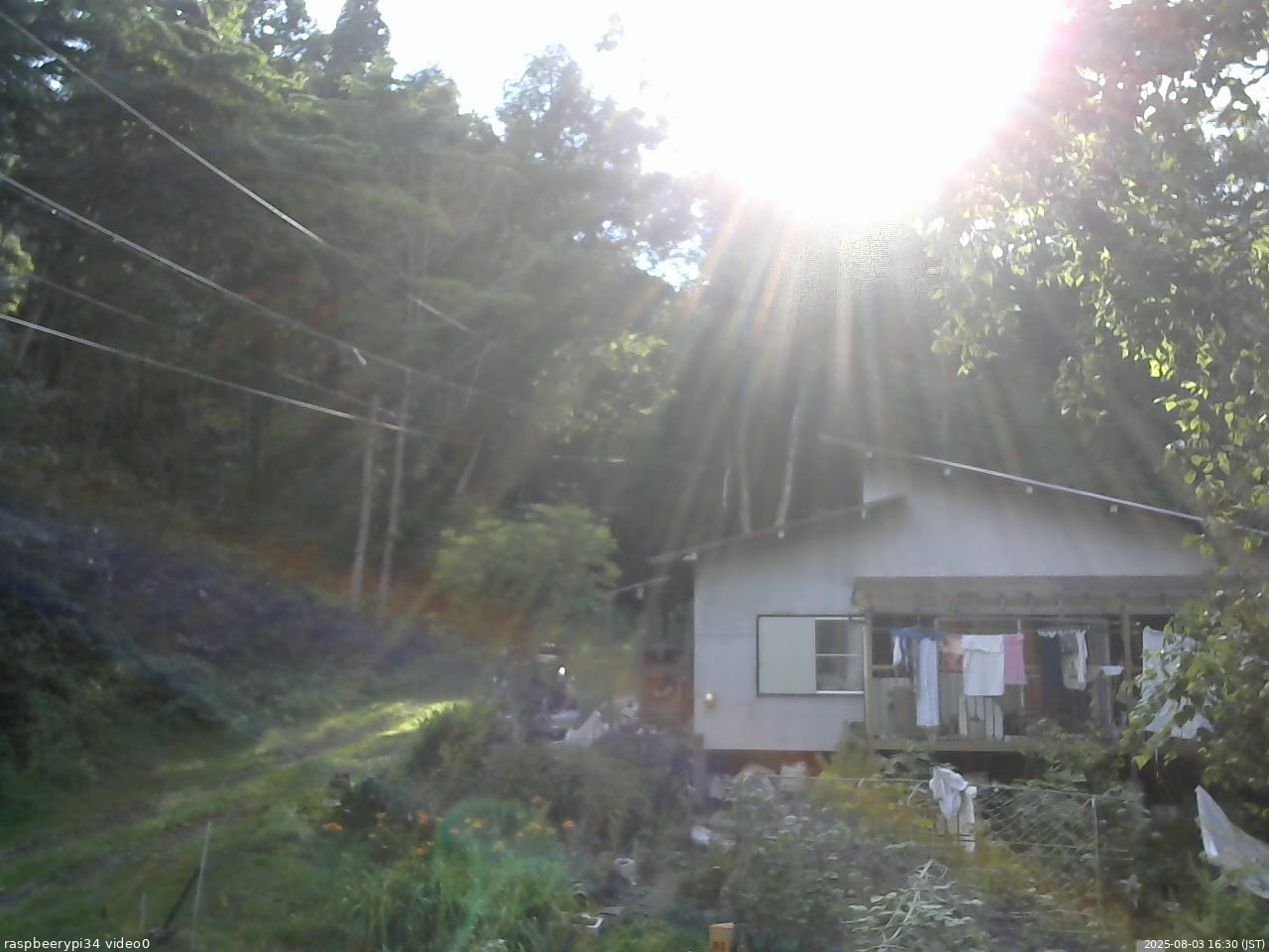 長野県菅平高原 ゆたか山荘 西側(坂上) 2025/08/03 16:30