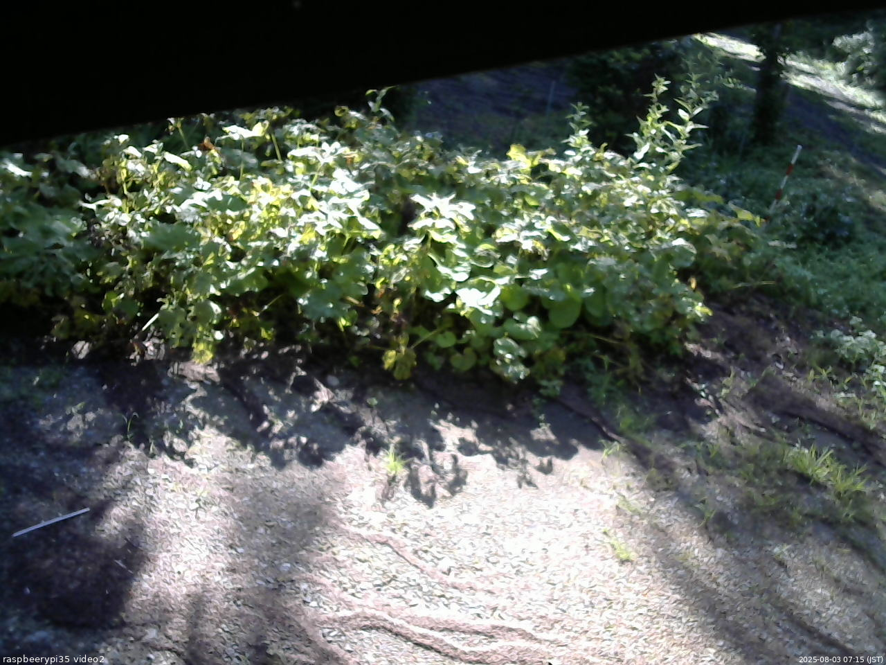 長野県菅平高原 ゆたか山荘 駐車場 2025/08/03 07:15