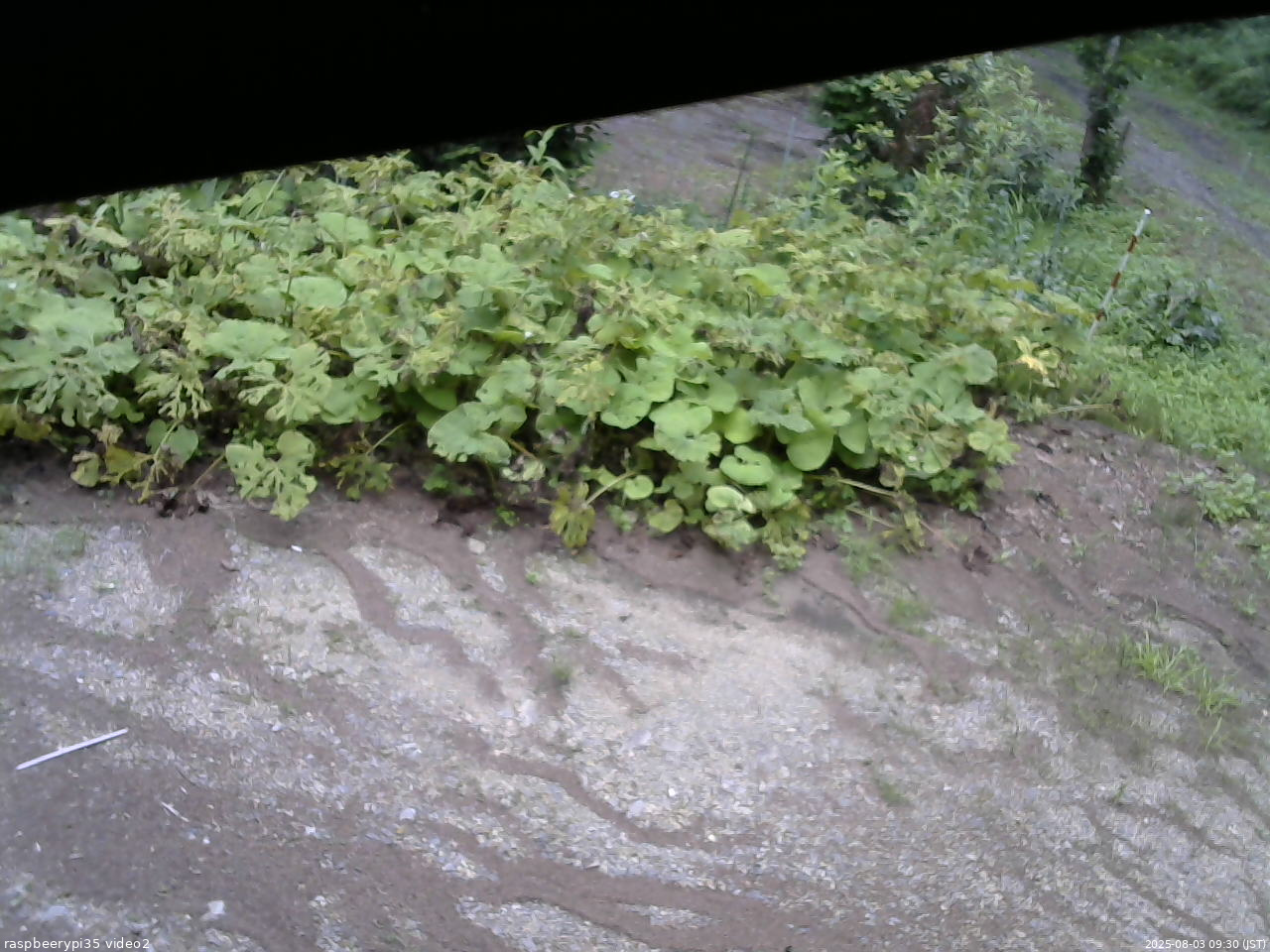 長野県菅平高原 ゆたか山荘 駐車場 2025/08/03 09:30