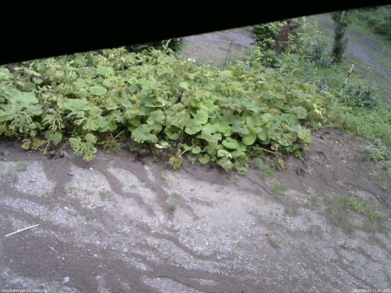 長野県菅平高原 ゆたか山荘 駐車場 2025/08/03 11:45