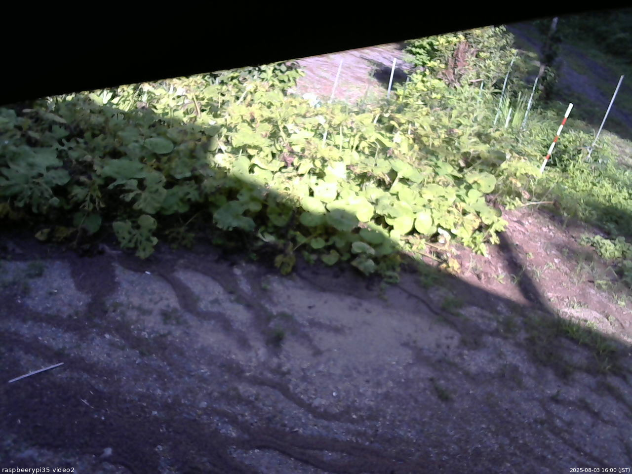 長野県菅平高原 ゆたか山荘 駐車場 2025/08/03 16:00