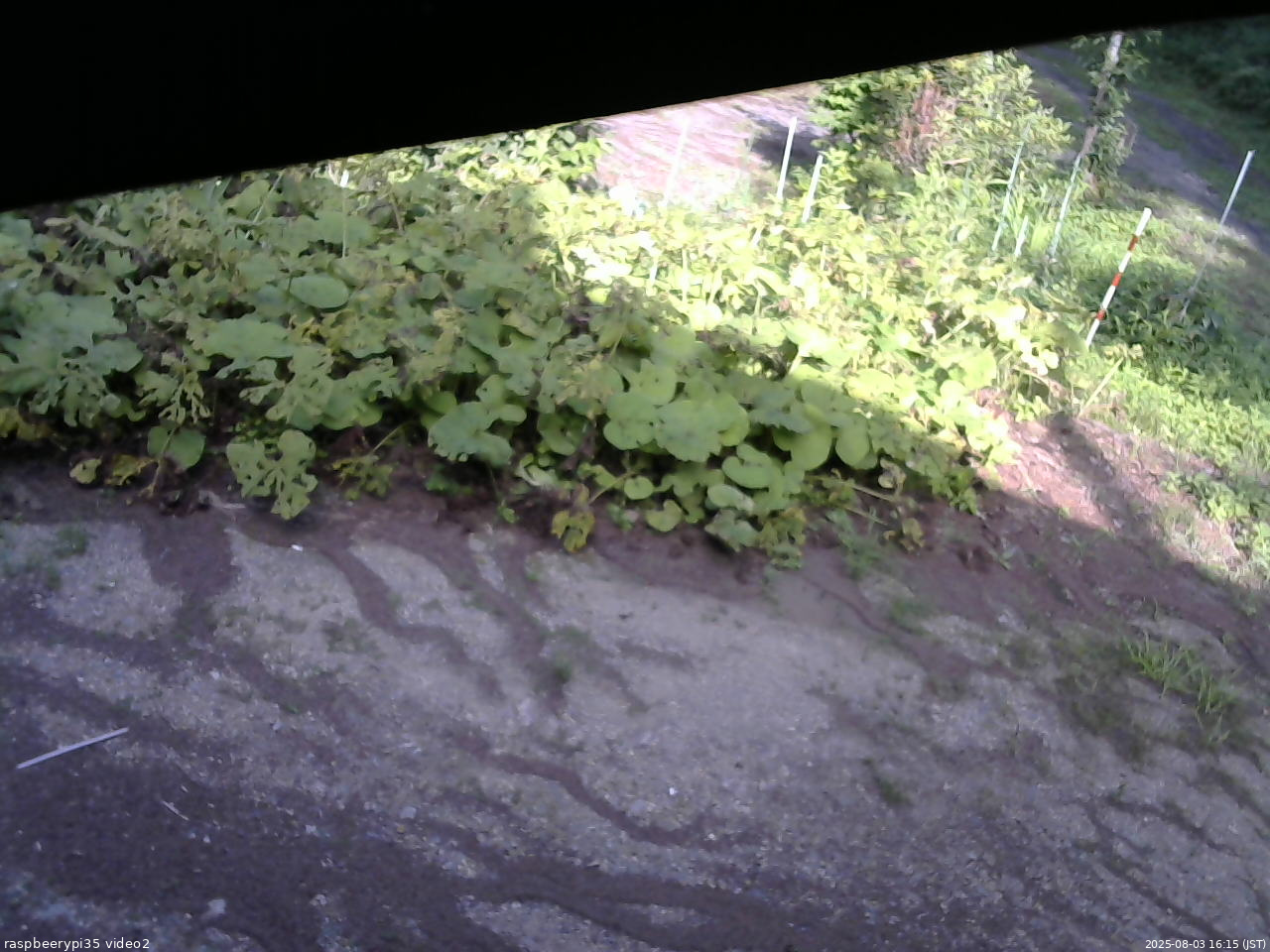 長野県菅平高原 ゆたか山荘 駐車場 2025/08/03 16:15