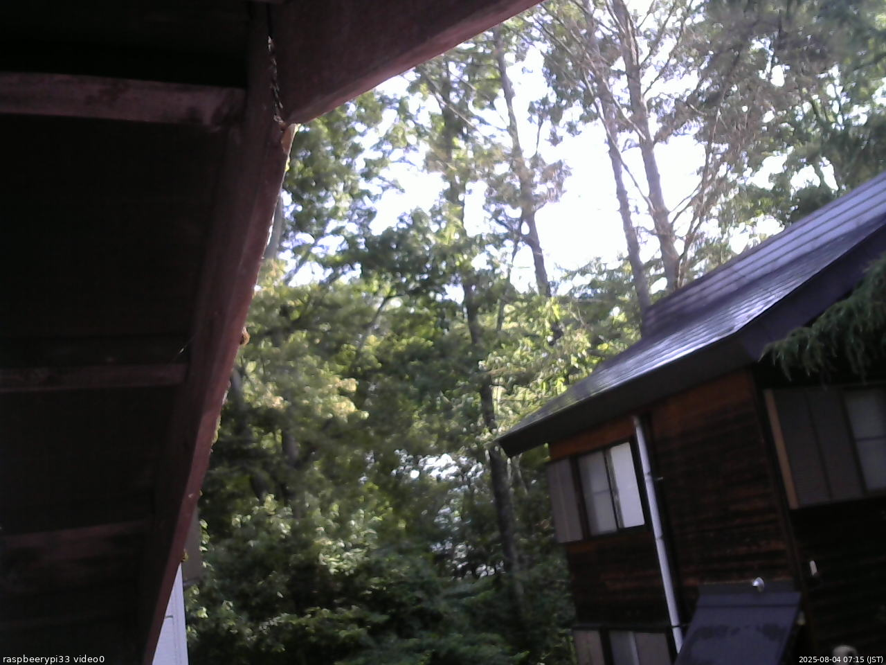 長野県菅平高原 ゆたか山荘 北側 2025/08/04 07:15