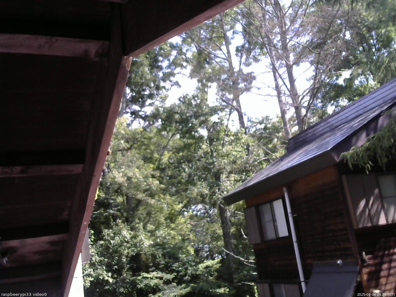 長野県菅平高原 ゆたか山荘 北側 2025/08/04 09:30