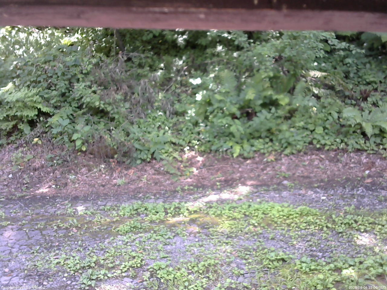 長野県菅平高原 ゆたか山荘 南側 2025/08/04 12:00