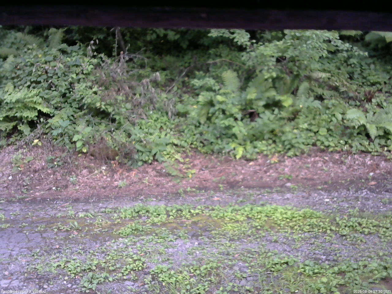 長野県菅平高原 ゆたか山荘 南側 2025/08/04 17:30