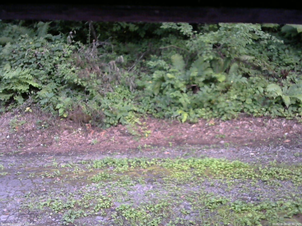 長野県菅平高原 ゆたか山荘 南側 2025/08/04 18:30