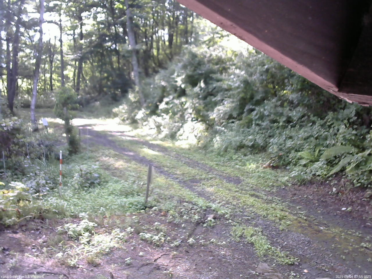 長野県菅平高原 ゆたか山荘 東側(坂下) 2025/08/04 07:15
