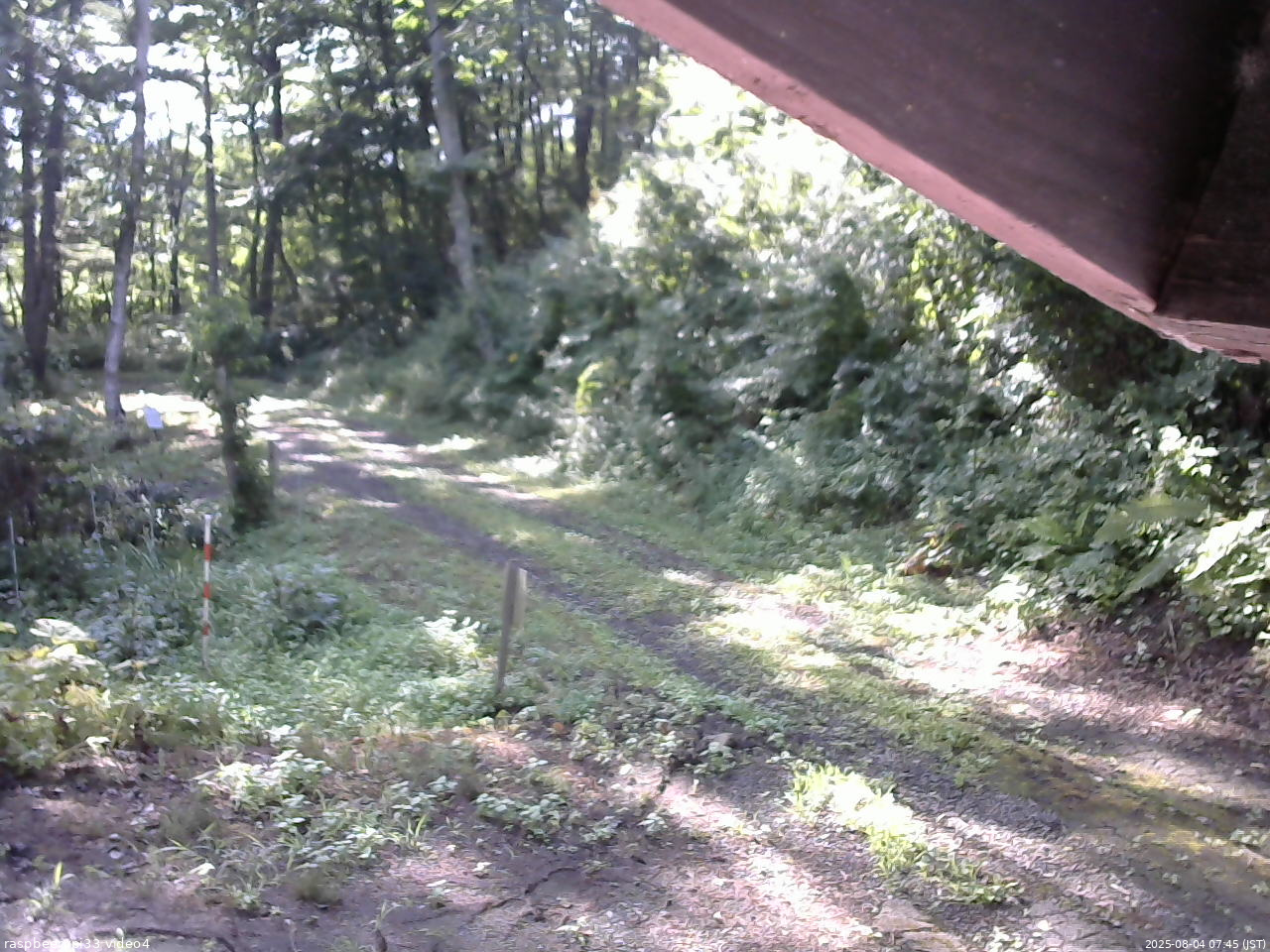 長野県菅平高原 ゆたか山荘 東側(坂下) 2025/08/04 07:45