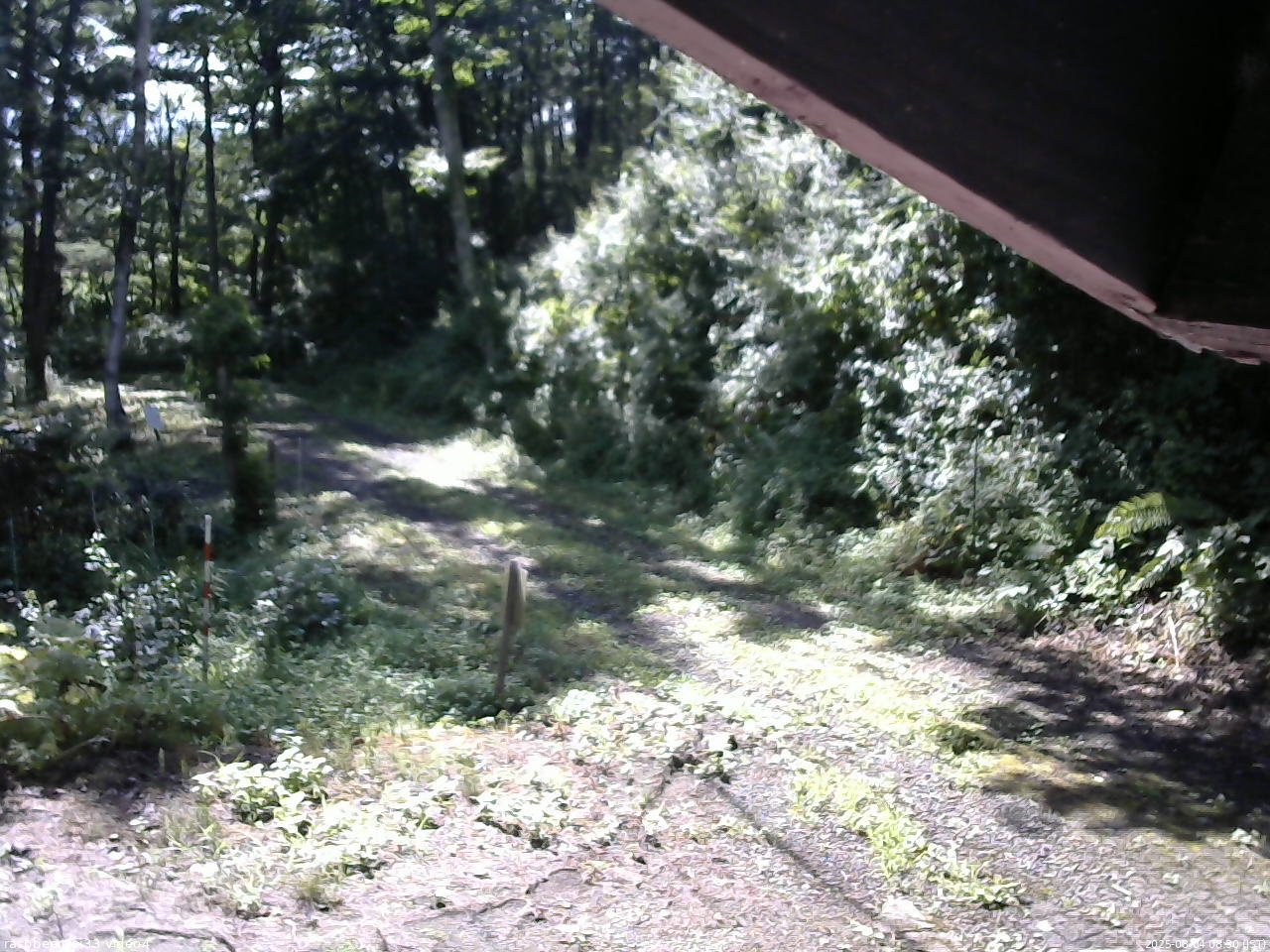 長野県菅平高原 ゆたか山荘 東側(坂下) 2025/08/04 08:30
