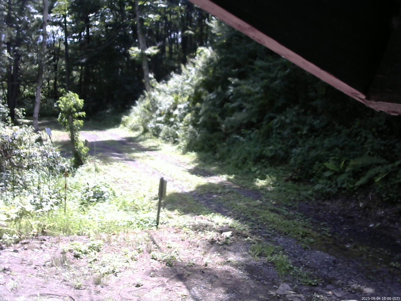 長野県菅平高原 ゆたか山荘 東側(坂下) 2025/08/04 10:00