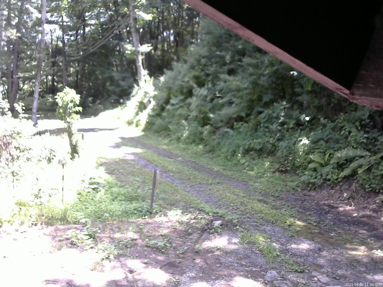長野県菅平高原 ゆたか山荘 東側(坂下) 2025/08/04 11:30