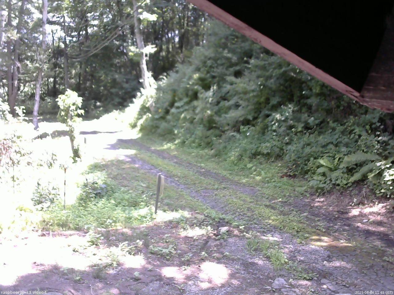 長野県菅平高原 ゆたか山荘 東側(坂下) 2025/08/04 11:45