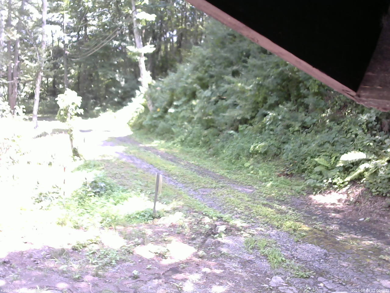 長野県菅平高原 ゆたか山荘 東側(坂下) 2025/08/04 12:00