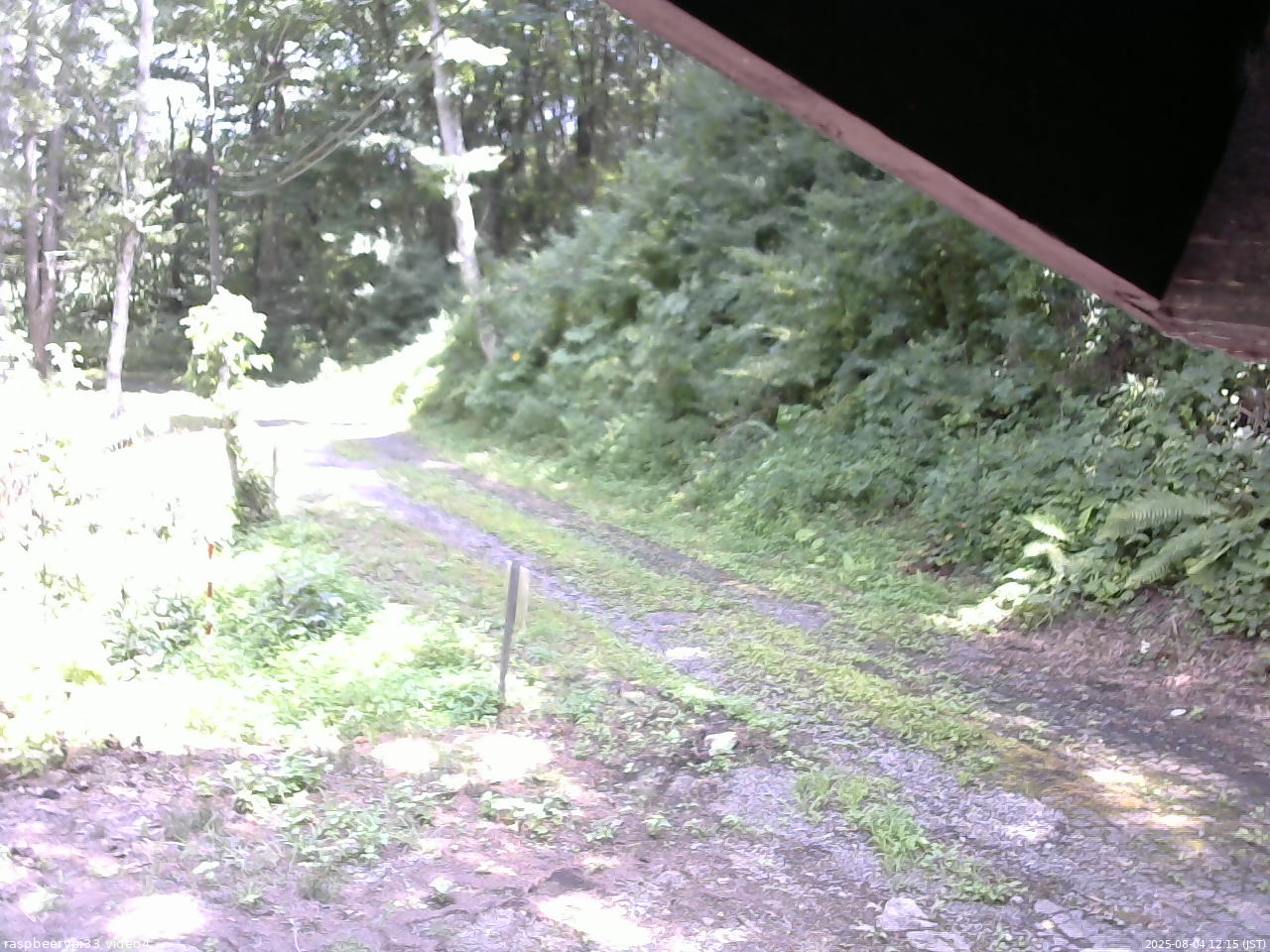 長野県菅平高原 ゆたか山荘 東側(坂下) 2025/08/04 12:15