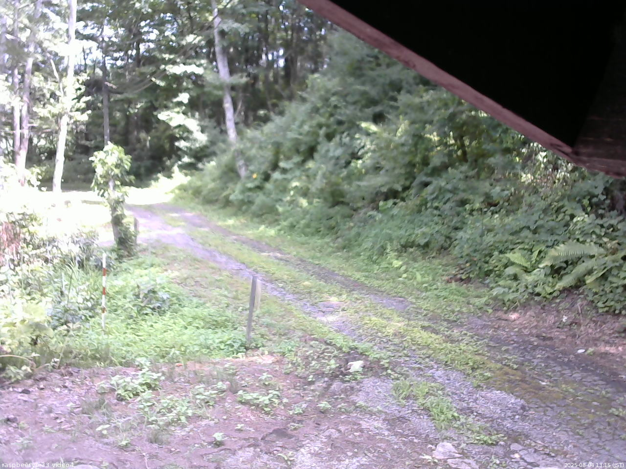 長野県菅平高原 ゆたか山荘 東側(坂下) 2025/08/04 13:15