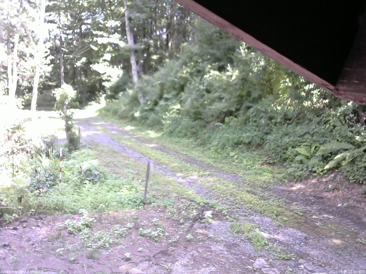 長野県菅平高原 ゆたか山荘 東側(坂下) 2025/08/04 13:30