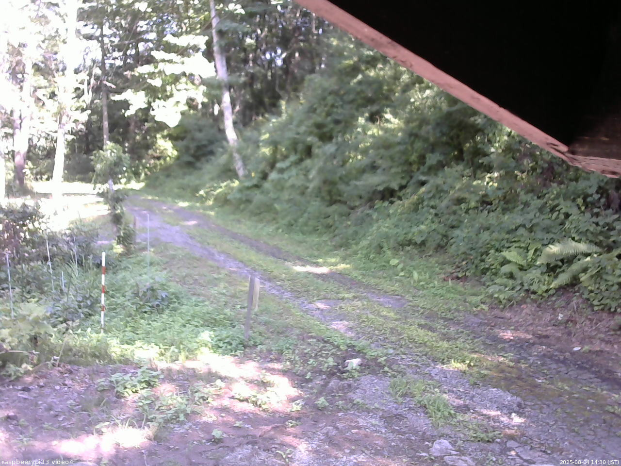 長野県菅平高原 ゆたか山荘 東側(坂下) 2025/08/04 14:30