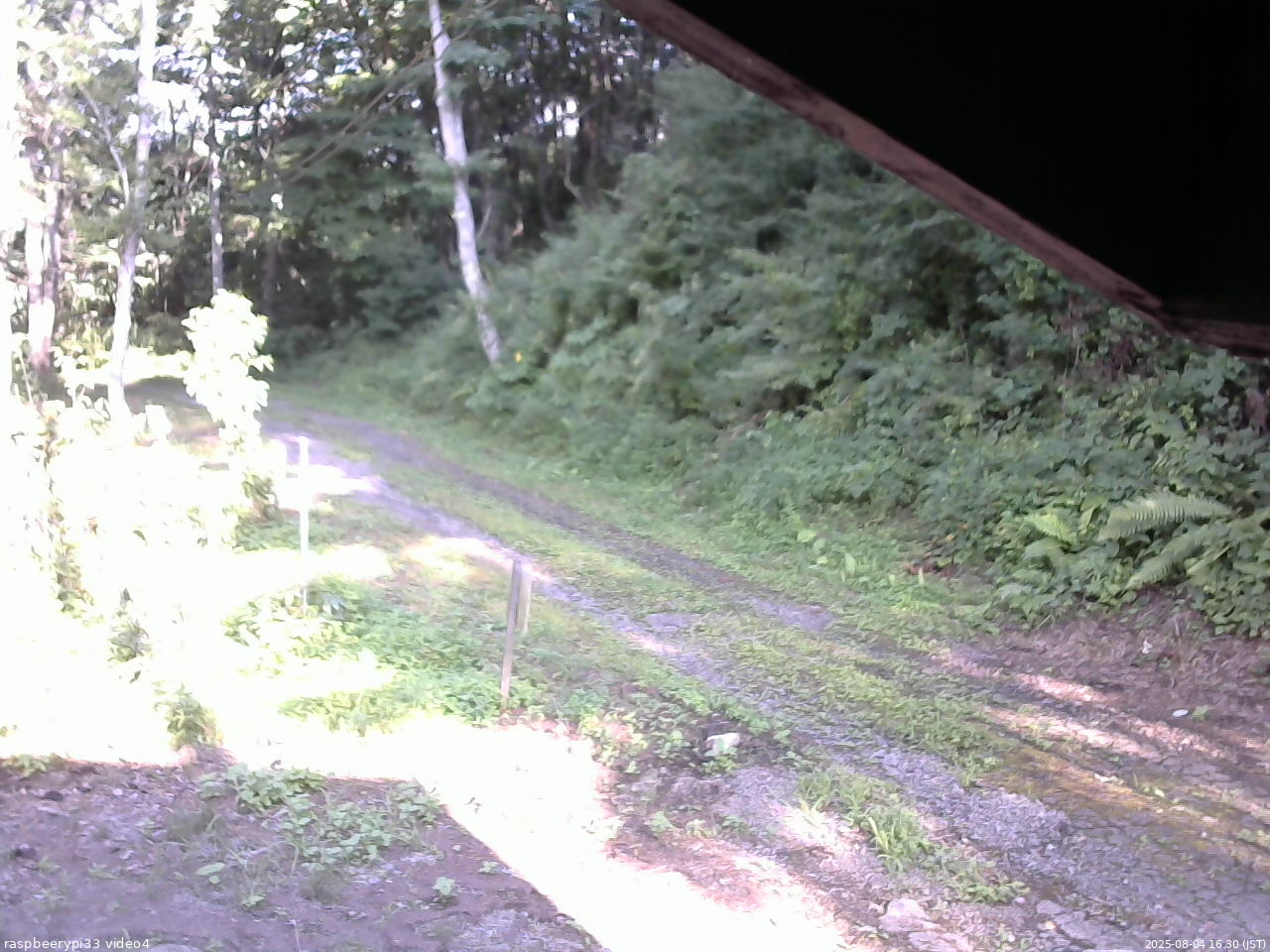 長野県菅平高原 ゆたか山荘 東側(坂下) 2025/08/04 16:30