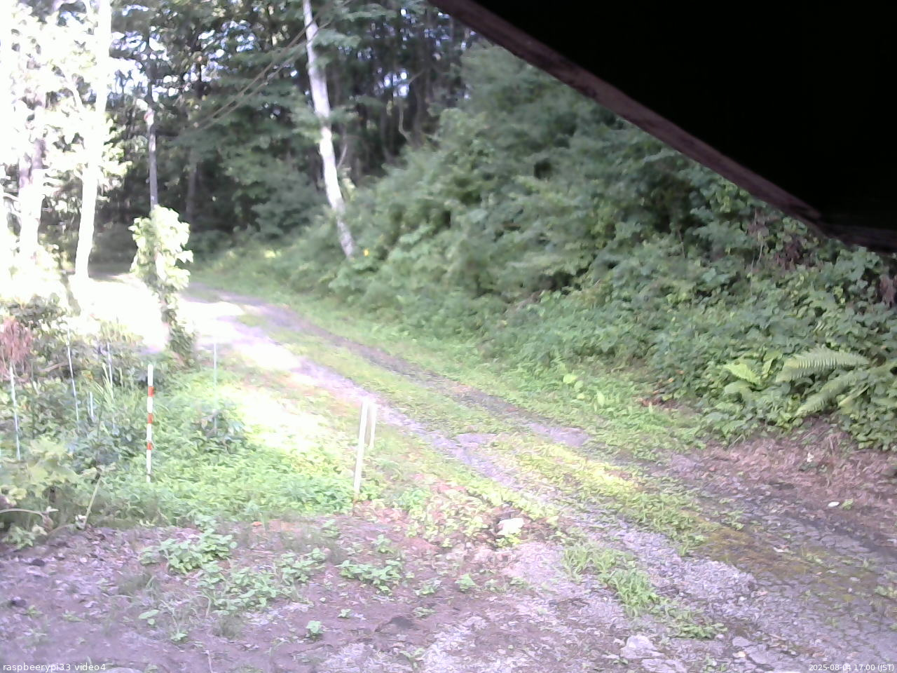 長野県菅平高原 ゆたか山荘 東側(坂下) 2025/08/04 17:00