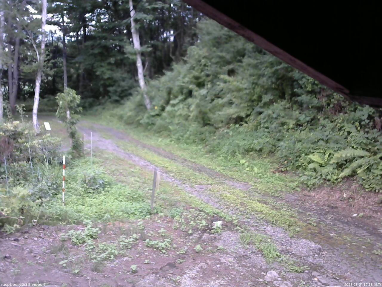 長野県菅平高原 ゆたか山荘 東側(坂下) 2025/08/04 17:15