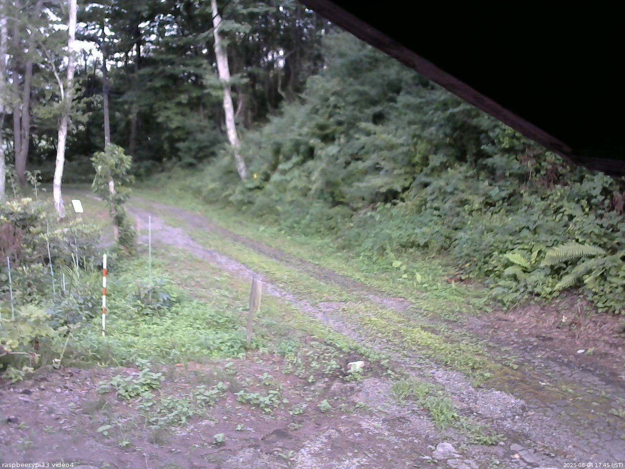 長野県菅平高原 ゆたか山荘 東側(坂下) 2025/08/04 17:45