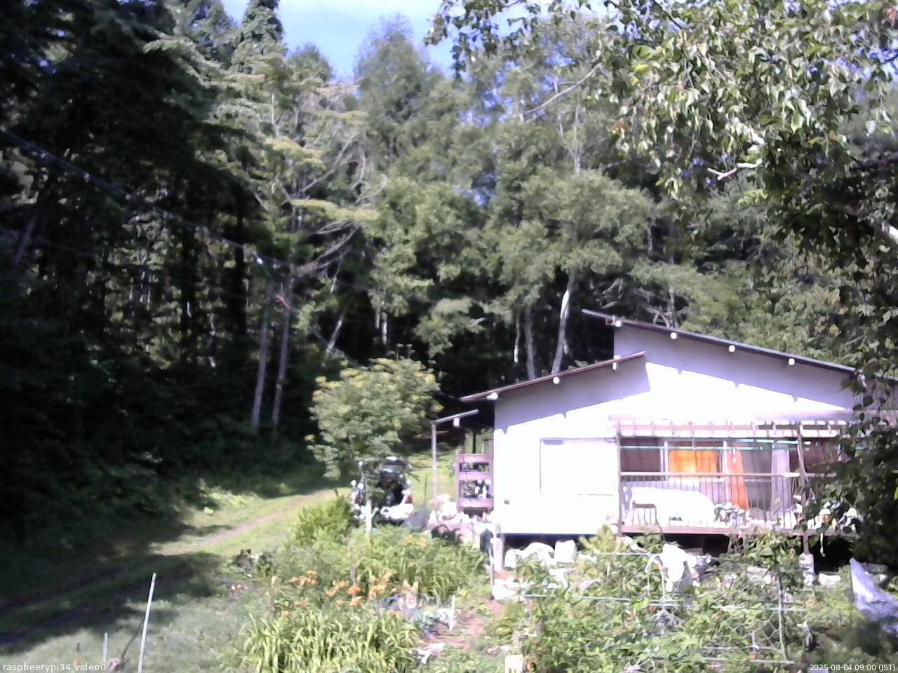 長野県菅平高原 ゆたか山荘 西側(坂上) 2025/08/04 09:00