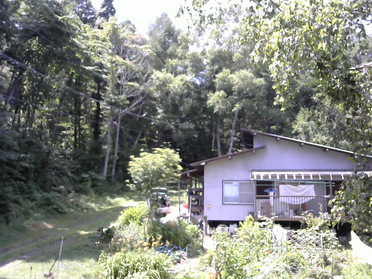 長野県菅平高原 ゆたか山荘 西側(坂上) 2025/08/04 12:15